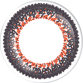 LACELLE Dazzle Ring Twinkling Bronze (30 Pack)